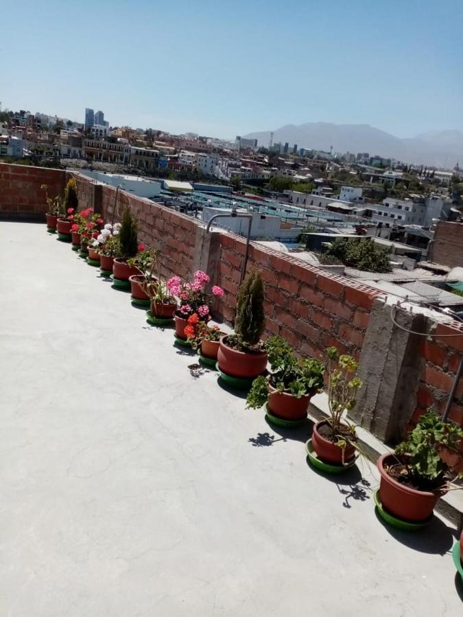 مبيت وإفطار أريكيبا Honey House المظهر الخارجي الصورة